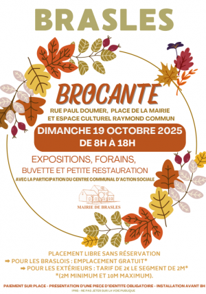 Rallye de Brasles